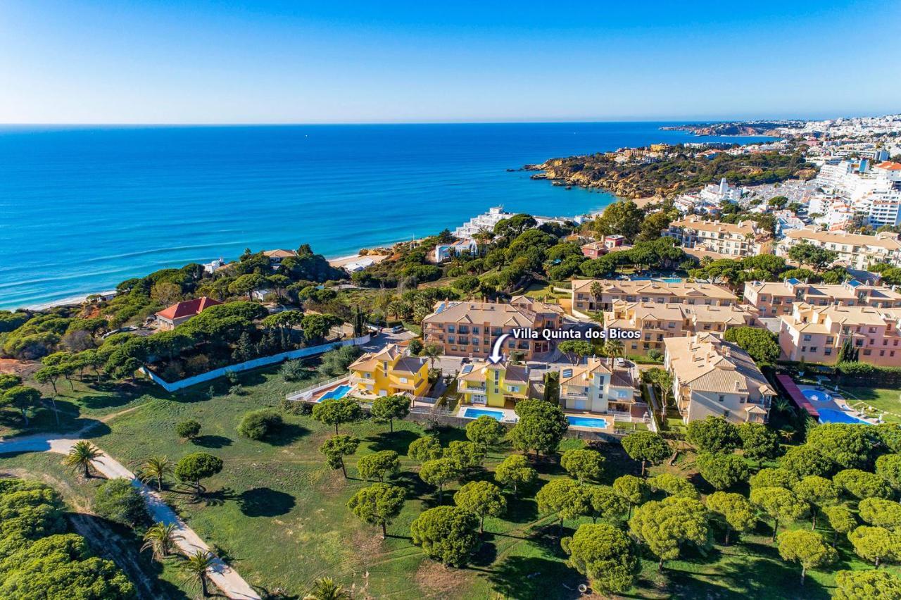 Villa Quinta Dos Bicos By Villa Plus Albufeira Buitenkant foto
